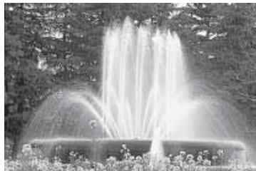 CANON EOS 10D - Tv Exposition automatique avec priorité à l'obturation - 2