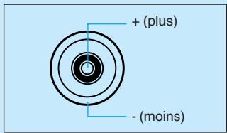 CANON EOS 10D - Borne PC - 2