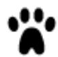TOMTOM VIA 135 - Services d'urgence - 4