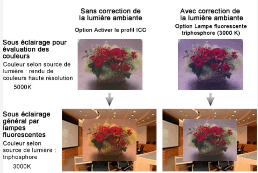 CANON PRO 9000 MARK II - - Impression en fonction de l'éclairage de l'environnement de visualisation - 1