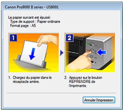 CANON PRO 9000 MARK II - Lorsque des erreurs se produisent - 1