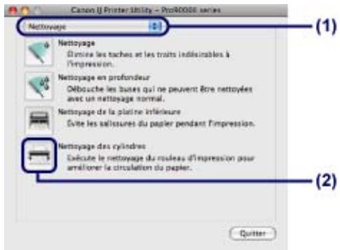 CANON PRO 9000 MARK II - Important - 1