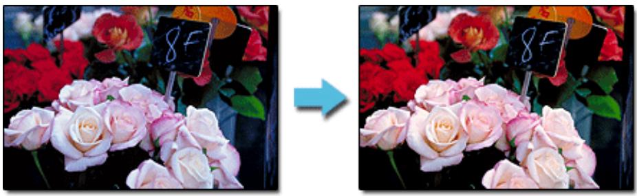 CANON PRO 9000 MARK II - Réglage de l'équilibre des couleurs - 1