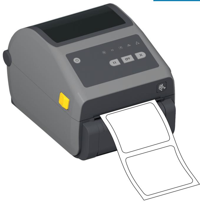 ZEBRA ZD621R - Utilisation de l'option de distributeur d'étiquettes - 2