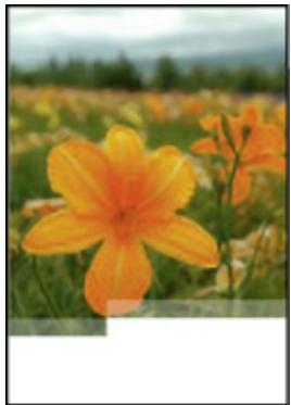 CANON PIXMA PRO-200 - Images incomplètes ou manquantes (Windows) - 1