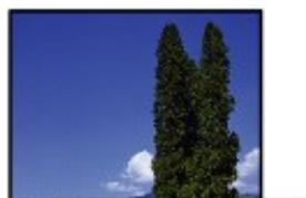 CANON G1501 - Le papier est vierge/L'impression est floue/Les couleurs ne sont pas fidèles/Des traces blanches apparaisent - 2