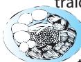WHIRLPOOL GT 390/WH - TABLA DE COCCION - 1