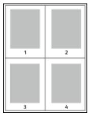 XEROX 3330V - Impression de plusieurs pages sur une seule feuille - 1
