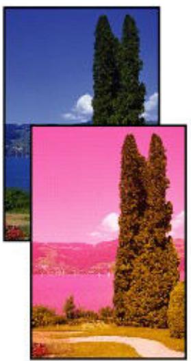 CANON TS6351HE - Les impressions sont vierges/floues ou troubles/couleurs inexactes ou bavures/traces ou lignes - 4