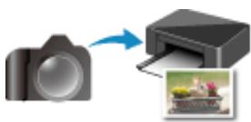 CANON TS6351HE - Manipulation du papier - 3