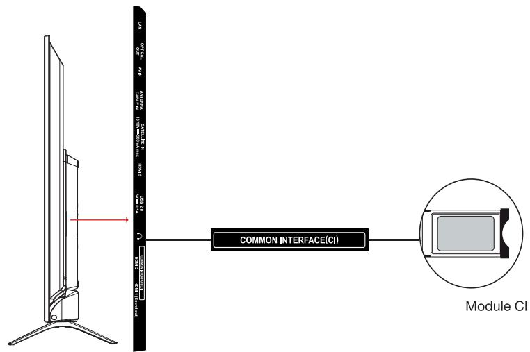 ESSENTIELB 50UHD-5010  -  55UHD-5010 - Branchement d'un module Cl - 1
