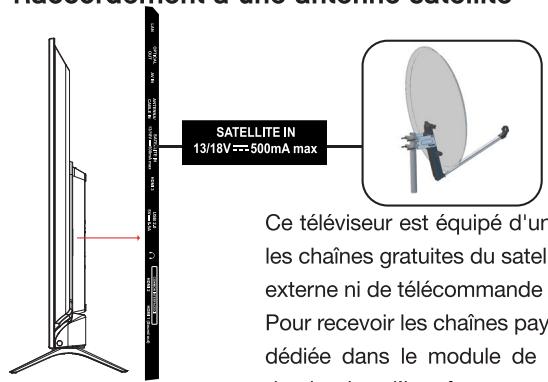 ESSENTIELB 50UHD-5010  -  55UHD-5010 - branchements - 3