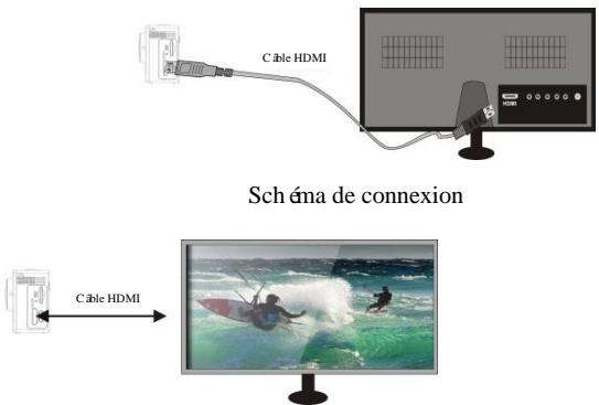 Câble HDMI Schéma de connexion Câble HDMI