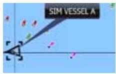 LOWRANCE GPS8-GEN2 - Affichage des informations sur les cibles AIS - 1