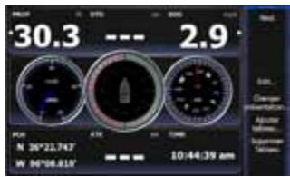 LOWRANCE GPS8-GEN2 - Les tableaux de bord - 3