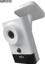 DIAGRAL DIAG23VCF - DIAG22VCF - 8