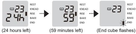 PANASONIC SD-R2530KXC - STAGE 1 Making Sourdough Starter - 2