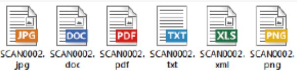 IRIS CAN MOUSE EXECUTIVE 2 - Enregistrer les documents dans les applications par défaut. - 1