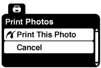 VIVITAR DVR 508NHD - Photo Playback Mode Menus - 4