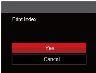 KODAK AZ251 - Print Index - 1