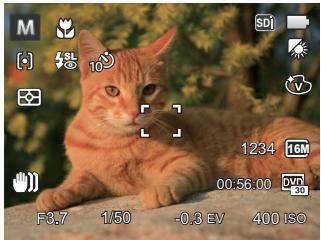 KODAK AZ251 - Display Setting - 1