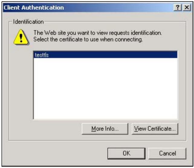 ZYXEL NWA5123AC - Using a Certificate When Accessing the NWA - 2