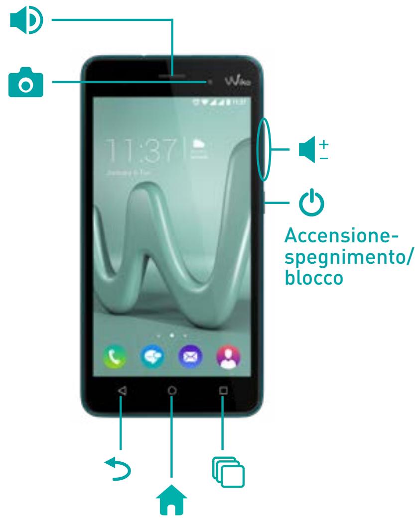 WIKO LENNY 3 - Componenti del disposativo - 2
