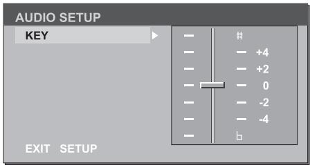 SCOTT DRX 2002 - AUDIO SETUP - 1