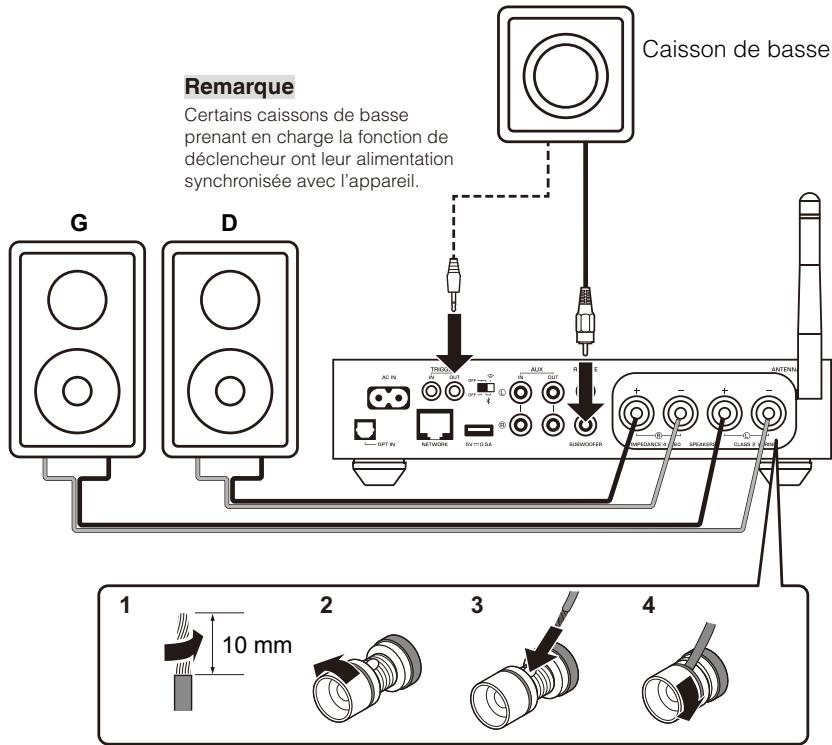 YAMAHA MUSICCAST RN602 - ■ Raccordement d'enceintes (WXA-50) - 1
