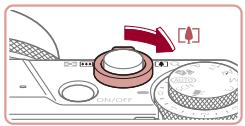 CANON X MARK II - Zoom avant rapproché sur des sujets (Zoom numérique) - 3