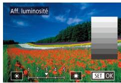 CANON X MARK II - Luminosité de l'écran - 1