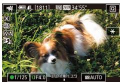 CANON X MARK II - Activez le mode [M]. - 1