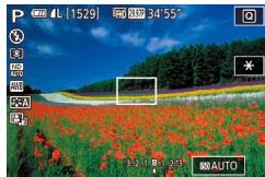 CANON X MARK II - Prise de vue dans le Programme AE (Mode [P]) - 2