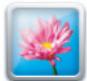 PANASONIC ELUGA - Camera - 1