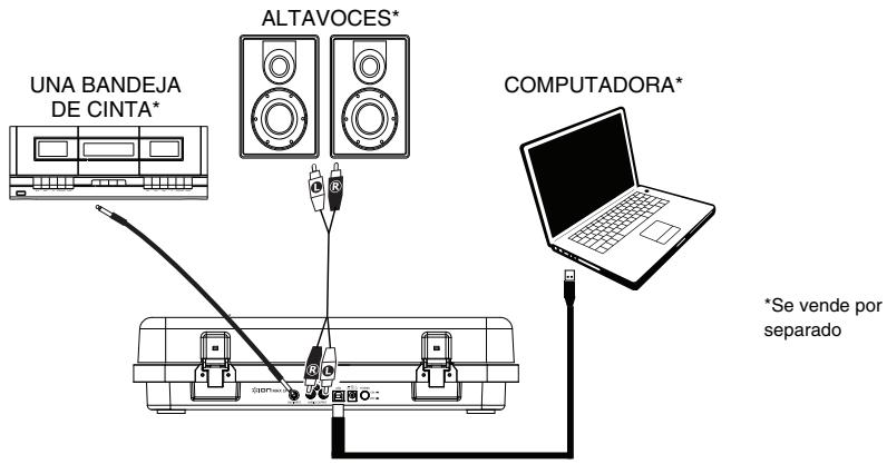 ION MAX LP - Diagrama de connexion - 1