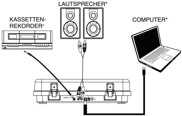 ION MAX LP - Anschlüssubersicht - 1