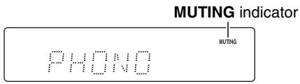 ONKYO P3000R - Muting the Sound - 2