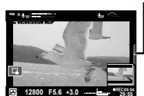 OLYMPUS E-M10 MARK II - Utilisation de la fonction de silence pendant l'enregistrement d'une video - 1