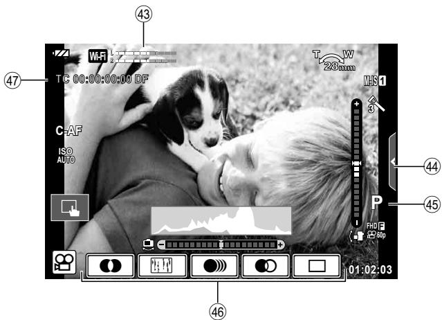 OLYMPUS E-M10 MARK II - Affichage de I'ecran pendant le mode video - 1