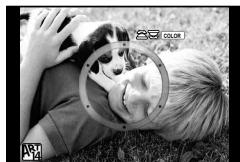 OLYMPUS E-M10 MARK II - Régler et prendre des images partiellement en couleurs - 1