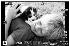 OLYMPUS E-M10 MARK II - Choix de l'ouverture (mode priorité ouverture A) - 2