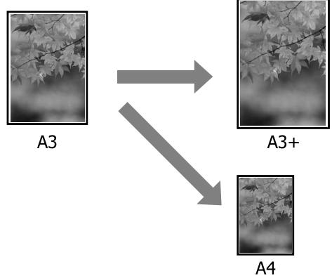 EPSON SC-P400 - Agrandissement/ réduction de l'impression - 2