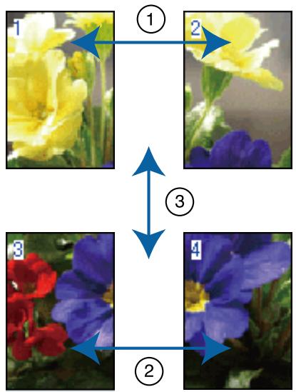 EPSON SC-P400 - Assemblage de la sortie papier - 1