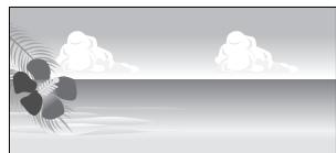 EPSON SC-P400 - Tailles de papier définies par l'utilisateur/ personnalises - 2