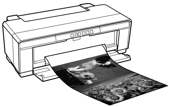 EPSON SC-P400 - Impression de bannières (sur papier rouleau) - 1