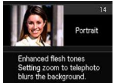 CASIO EXILIM ZR200 - Using the Scene Information Screen - 1