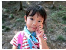 CASIO EXILIM ZR200 - Shooting with a Blurred Background (Blurred Background) - 2