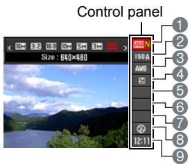 CASIO EXILIM ZR200 - Using the Control Panel - 2