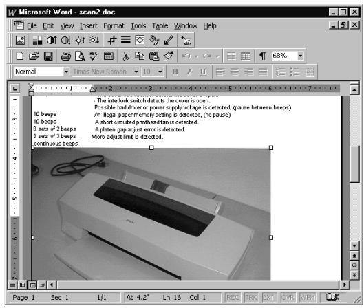 EPSON PERFECTION 1200 - Using Copy and Paste - 2