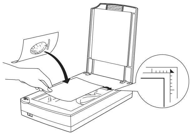 EPSON PERFECTION 1200 - Placing Film and Photos - 1